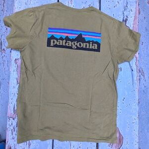 Patagonia Mens Organic Cotton T